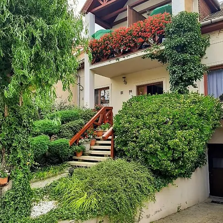 Siesta Eger