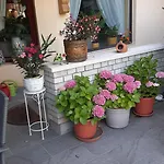 Siesta Vendeghaz