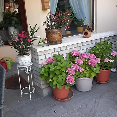 Siesta Vendeghaz